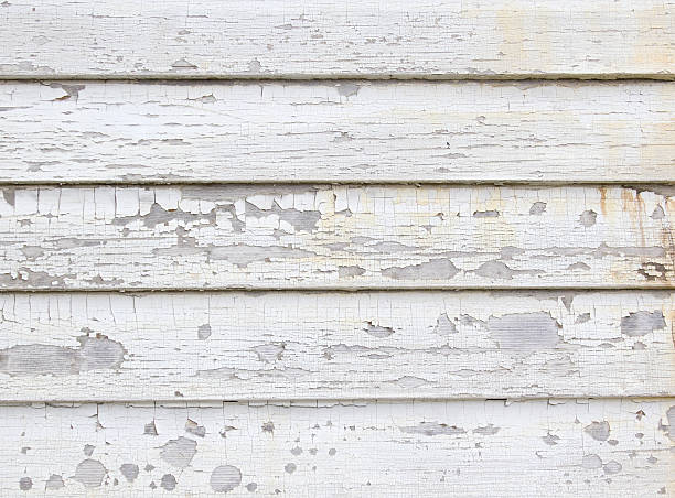 Best Historical Building Siding Restoration  in Madisonville, TX